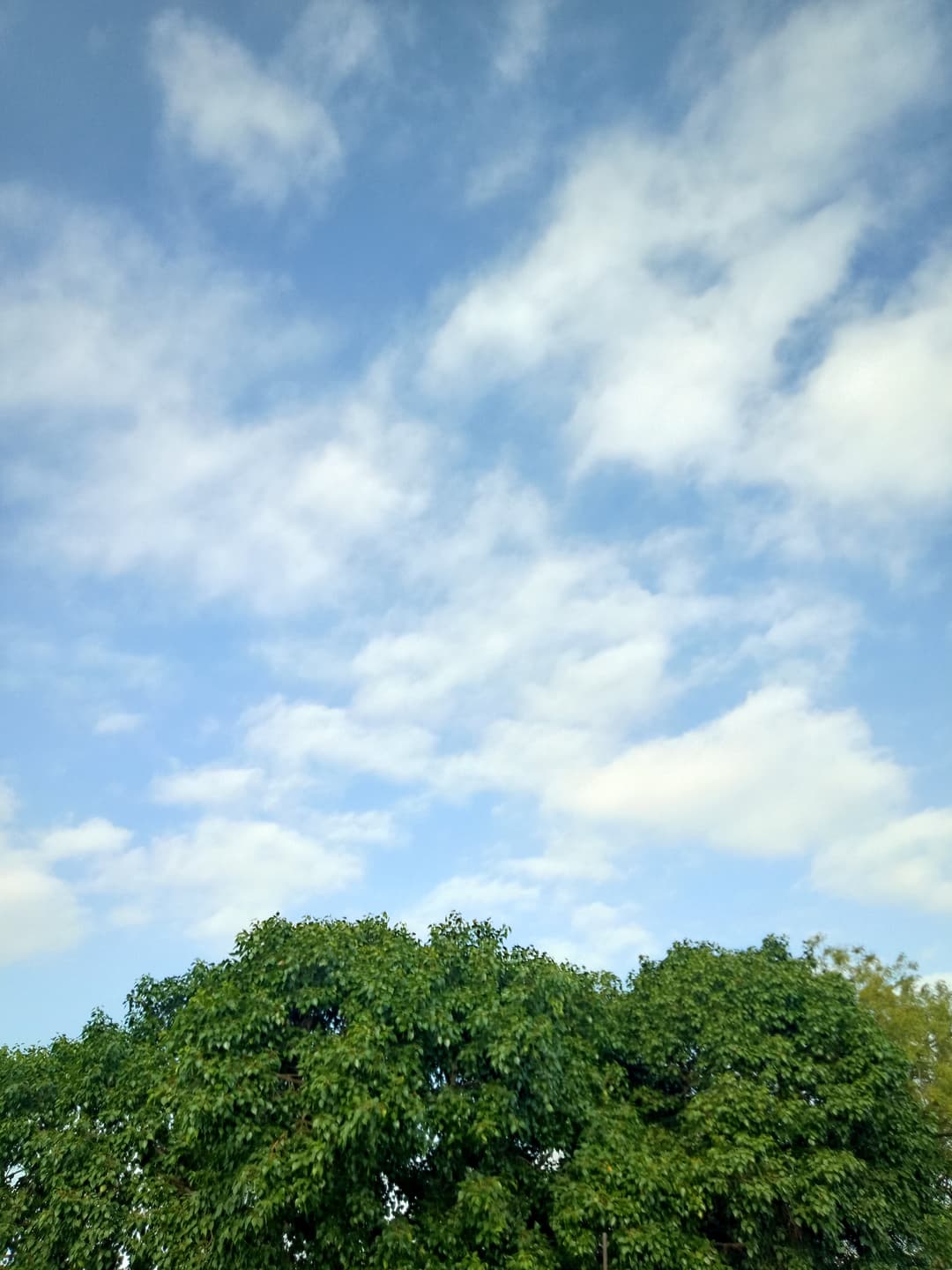 Blue ocean with cloudy waves